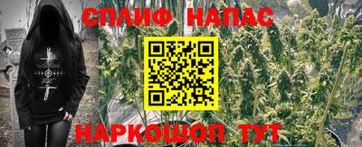 хмурый Камышлов