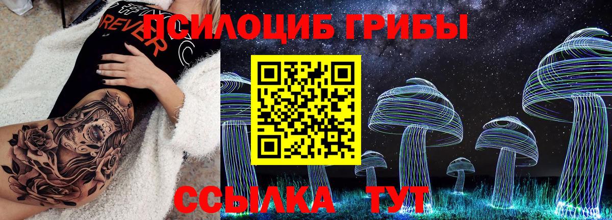 Псилоцибиновые грибы MAGIC MUSHROOMS Георгиевск