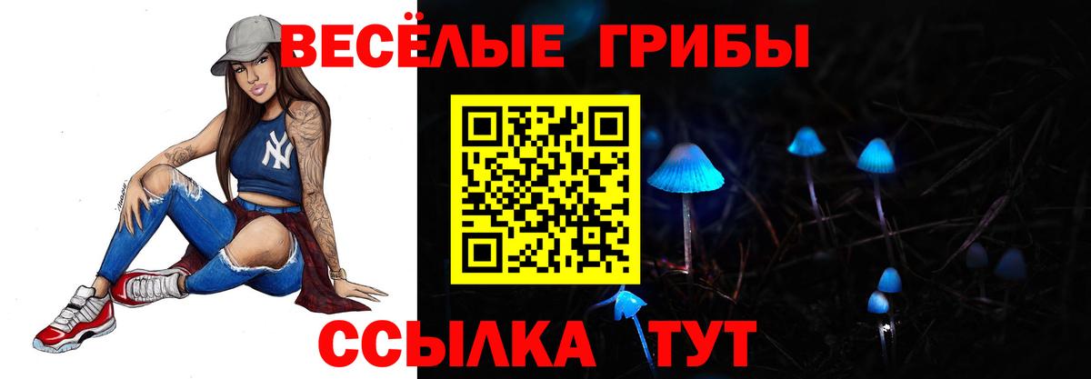 Галлюциногенные грибы ЛСД  Вход с VPN  Георгиевск  даркнет сайт  Галлюциногенные грибы Psilocybine cubensis 
